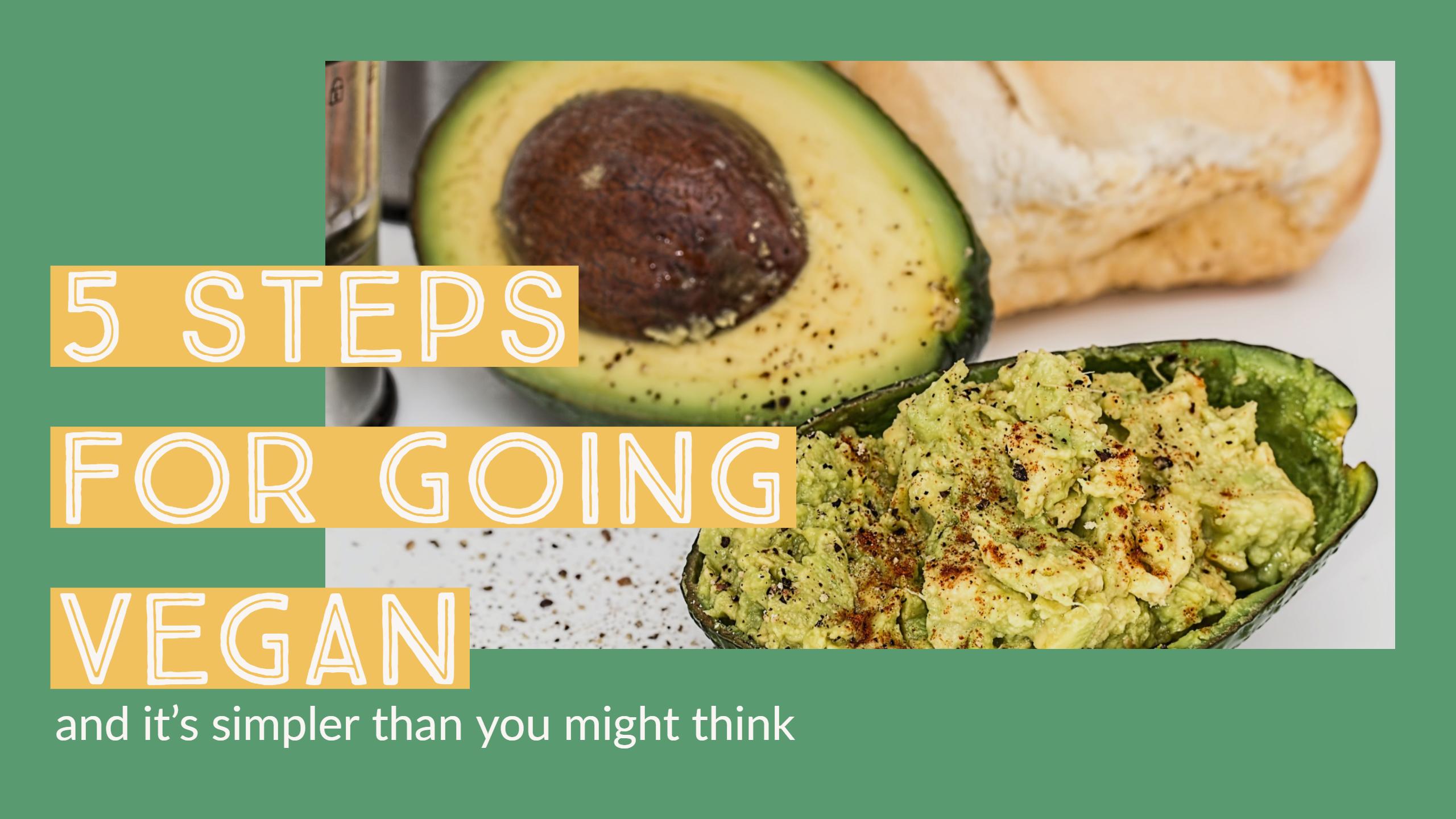 Think About Going Vegan Try These 5 Helpful Tips For Vegan Newbies Think About Going Vegan Try These 5 Helpful Tips For Vegan Newbies